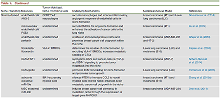 CC网投·(中国游)官方网站