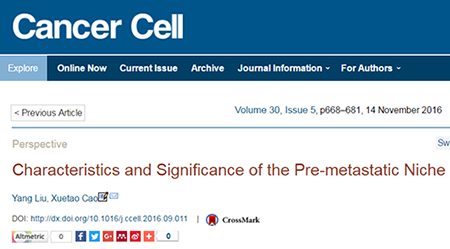 CC网投·(中国游)官方网站
