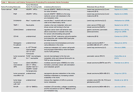 CC网投·(中国游)官方网站