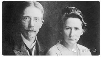 CC网投·(中国游)官方网站