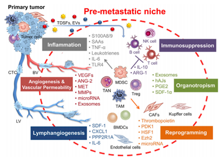 CC网投·(中国游)官方网站
