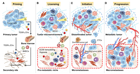 CC网投·(中国游)官方网站