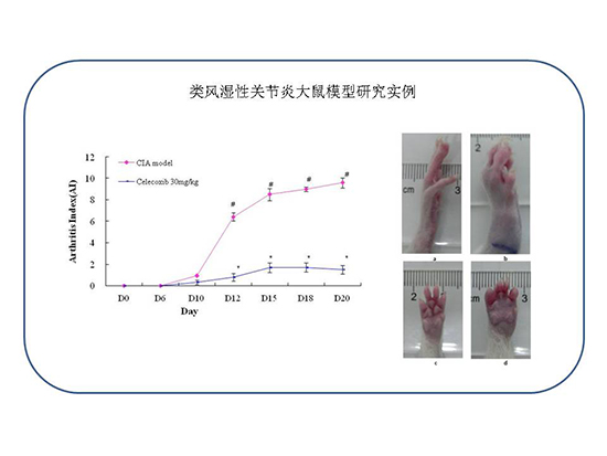 CC网投·(中国游)官方网站