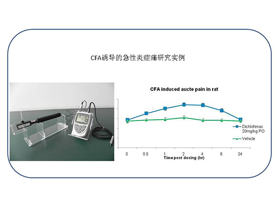 CC网投·(中国游)官方网站