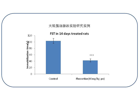 CC网投·(中国游)官方网站