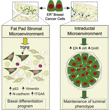 CC网投·(中国游)官方网站