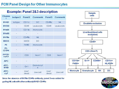 CC网投副总裁汪俊博士SAPA-DC聚会演讲PPT