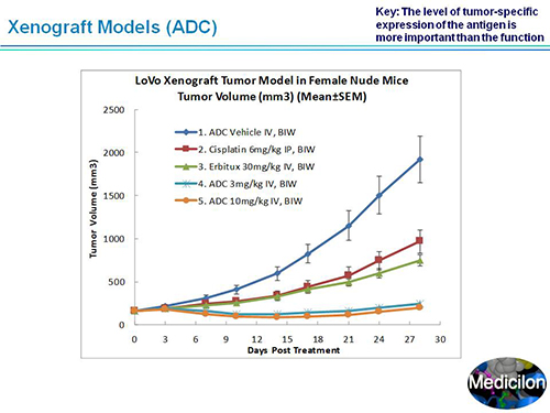 CC网投·(中国游)官方网站
