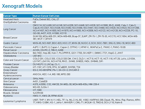 CC网投副总裁汪俊博士SAPA-DC聚会演讲PPT
