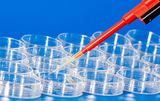 CC网投·(中国游)官方网站