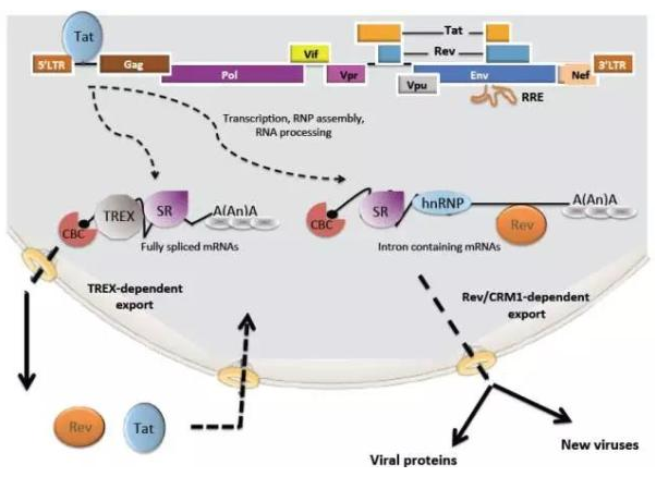 CC网投·(中国游)官方网站