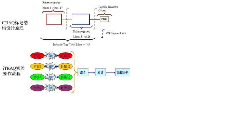 CC网投·(中国游)官方网站