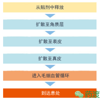 CC网投·(中国游)官方网站