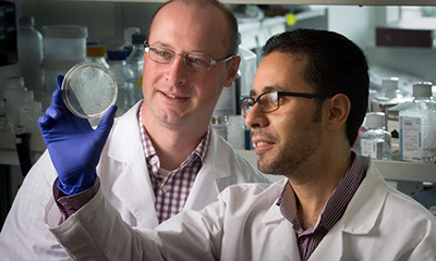 CC网投·(中国游)官方网站