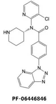 CC网投·(中国游)官方网站