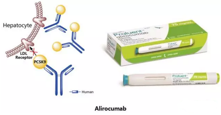 CC网投·(中国游)官方网站