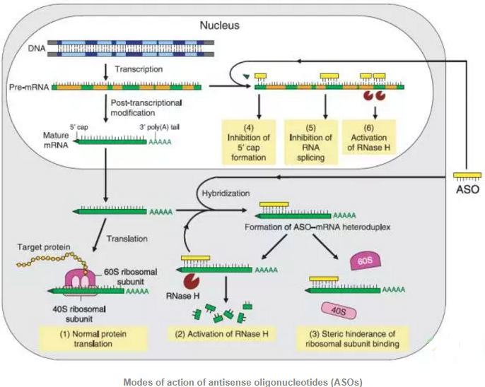 CC网投·(中国游)官方网站