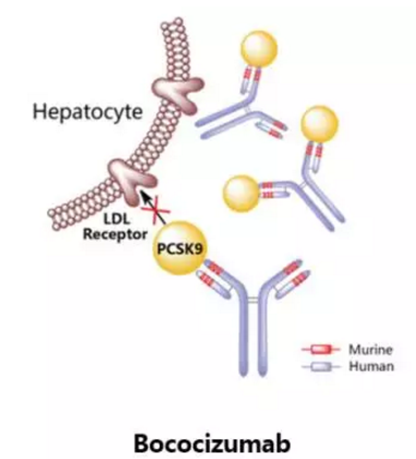 CC网投·(中国游)官方网站