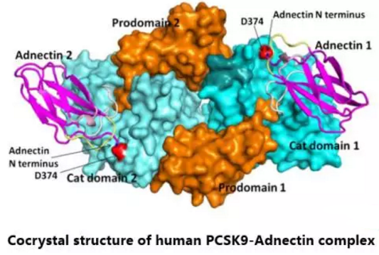 CC网投·(中国游)官方网站