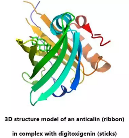 CC网投·(中国游)官方网站