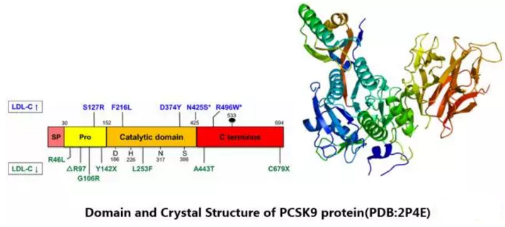 CC网投·(中国游)官方网站