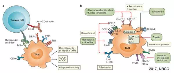 CC网投·(中国游)官方网站