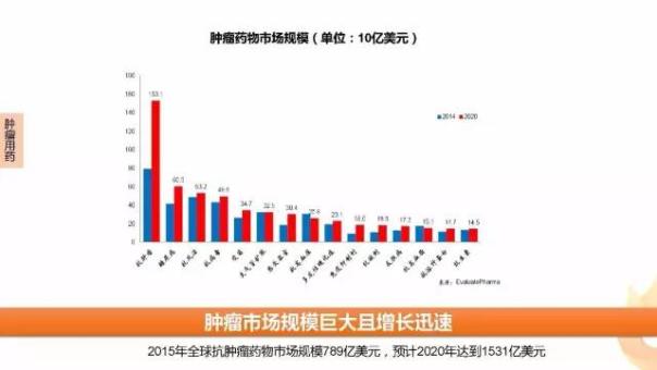 CC网投·(中国游)官方网站