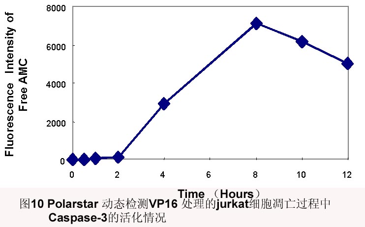 CC网投·(中国游)官方网站