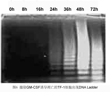 CC网投·(中国游)官方网站