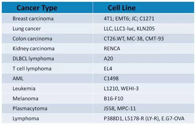 CC网投·(中国游)官方网站