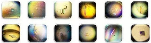 CC网投·(中国游)官方网站