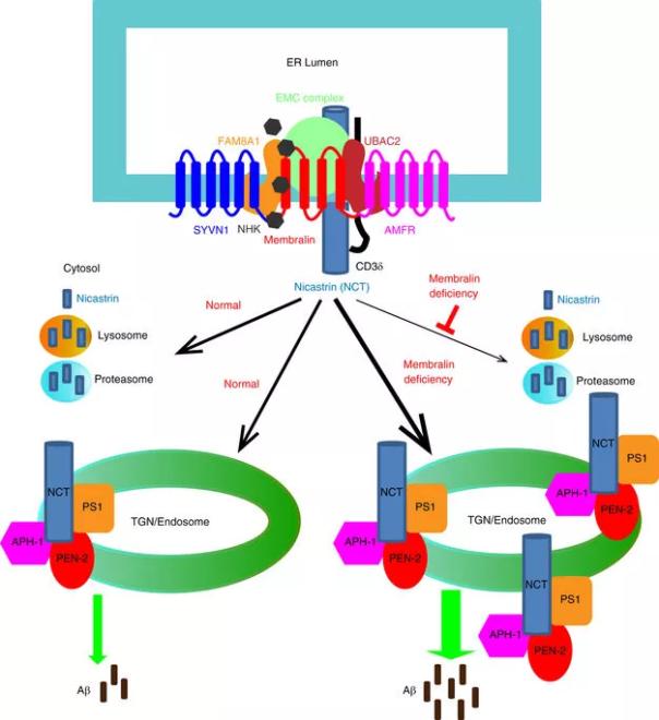 CC网投·(中国游)官方网站