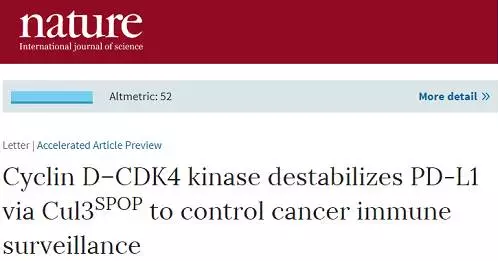 CC网投·(中国游)官方网站