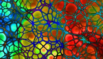 CC网投·(中国游)官方网站