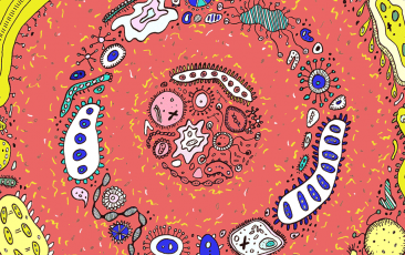 CC网投·(中国游)官方网站