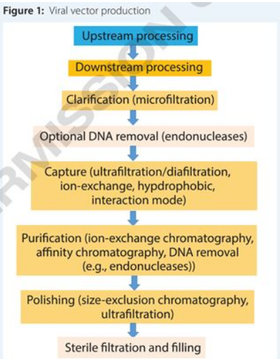 CC网投·(中国游)官方网站