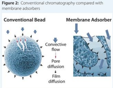CC网投·(中国游)官方网站