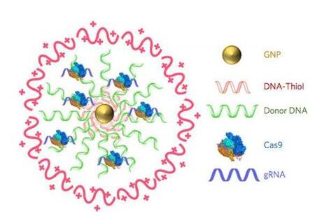CC网投·(中国游)官方网站