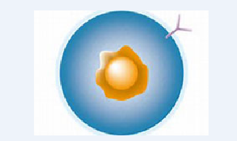 CC网投·(中国游)官方网站