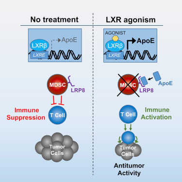 CC网投·(中国游)官方网站