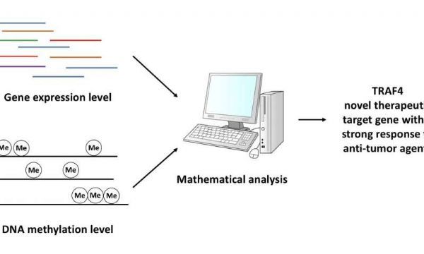 CC网投·(中国游)官方网站