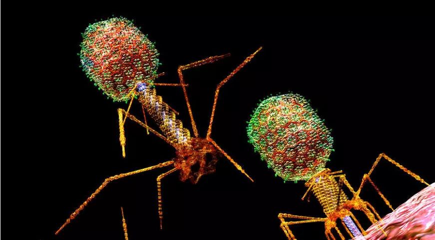 CC网投·(中国游)官方网站