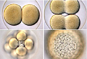 CC网投·(中国游)官方网站