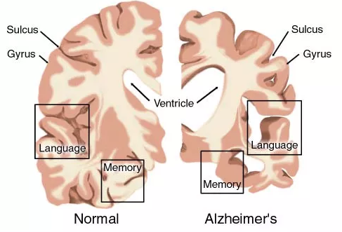 CC网投·(中国游)官方网站