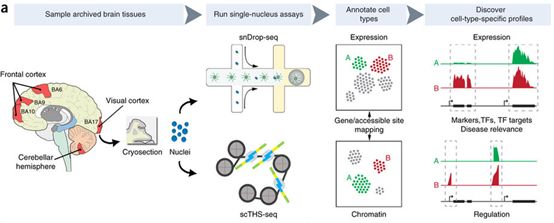 CC网投·(中国游)官方网站