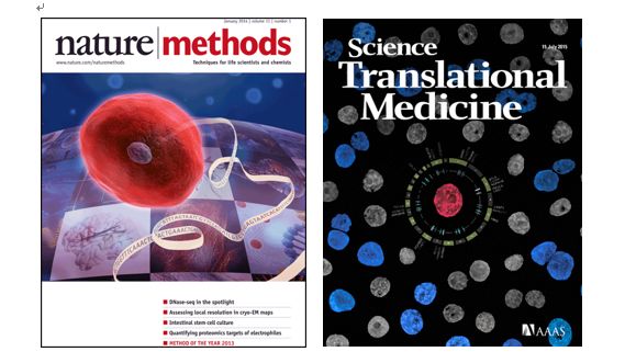 CC网投·(中国游)官方网站