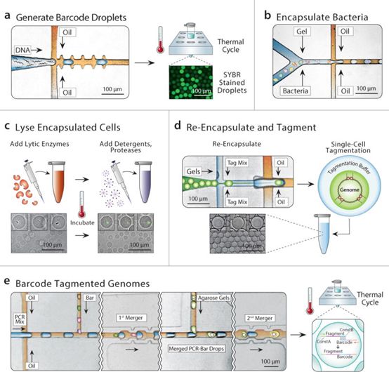 CC网投·(中国游)官方网站