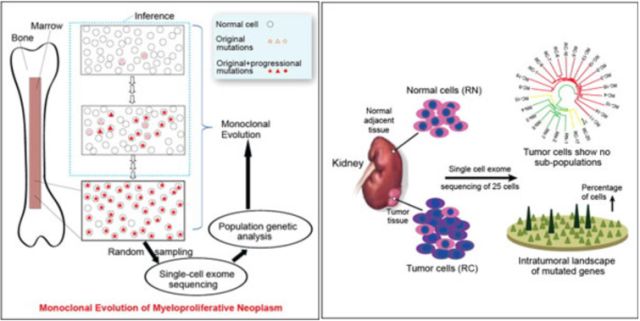 CC网投·(中国游)官方网站