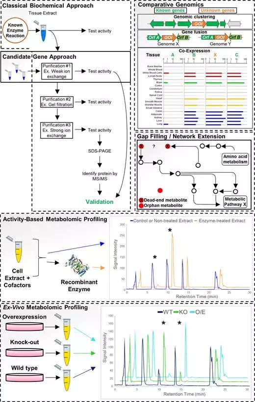 CC网投·(中国游)官方网站