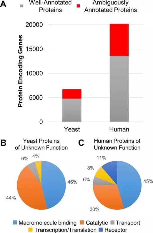 CC网投·(中国游)官方网站